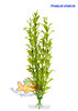 Wasserpflanze Hygrophila groß 25-28 cm Kunststoff Deko Aquarium