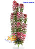 Wasserpflanze Red Anacharis sehr groß 34-43 cm Kunststoff Deko Aquarium