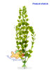 Wasserpflanze Pfennigkraut groß 25-28 cm Kunststoff Deko Aquarium