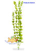 Wasserpflanze Pfennigkraut sehr groß 34-43 cm Kunststoff Deko Aquarium
